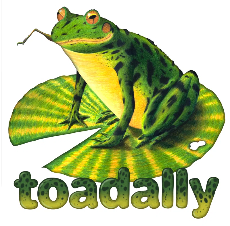 Toadally: Hand-drawn toad illustration with pun text