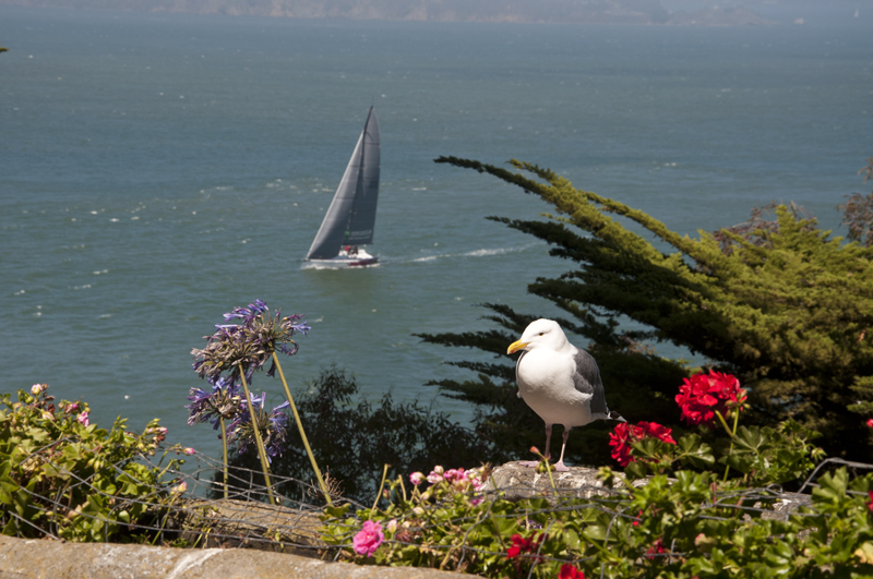 Small bird perched on a rowboat near a quiet dock