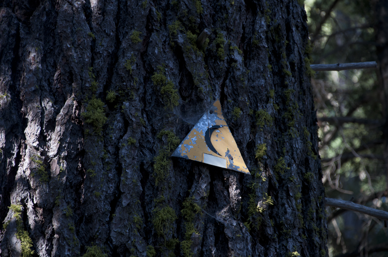 Moon Tag graffiti on a brick wall